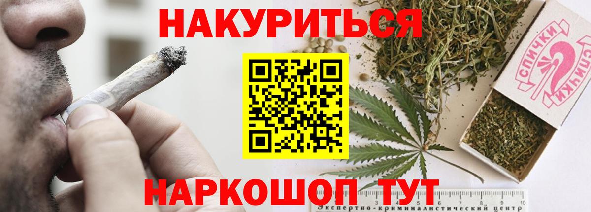 Конопля сатива Камышин